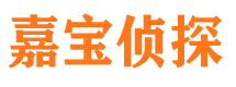 安国市侦探调查公司